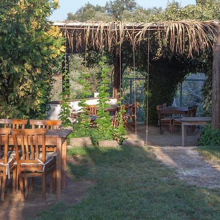 Zeytinbagi Hotel Gure Bagian luar foto